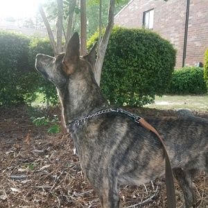 Meet your Posher, Jamie